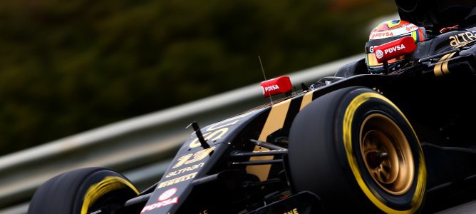 Re: Lotus F1 Team y fans de la F1.