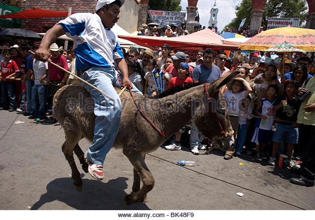 Re: El rincon de Sergio P. Esteban G. y sus amigos.