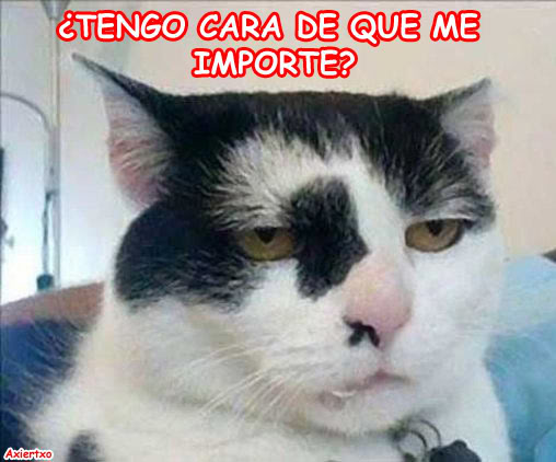 expulsionsemana21sossalvamesalvarnombre1234567ramonosevicadahoraporforoypormphastaellunesalas2200h