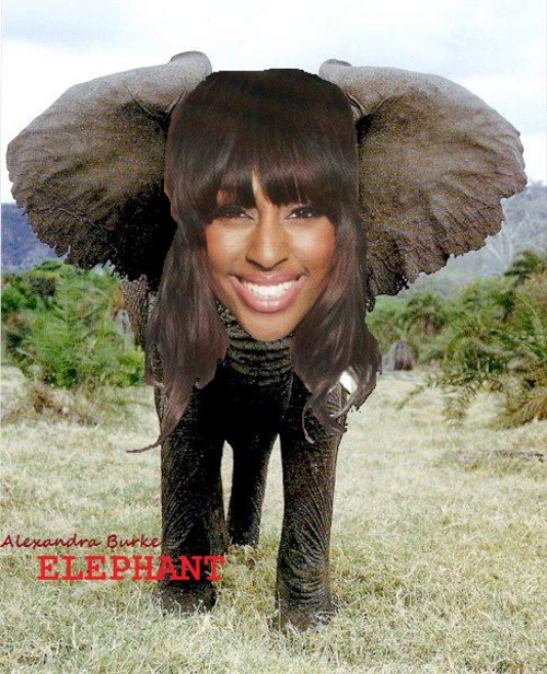 alexandraburke-elephant