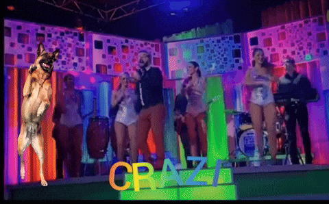 °--°tucaramesuenaftvedition5°--°quedan4diasparacerrarelcasting