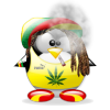 versionmodernahilooficialdehablarconversardialogardepartircharlarplaticarcomoantisecta