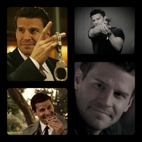 davidboreanazagenteseeleybooth