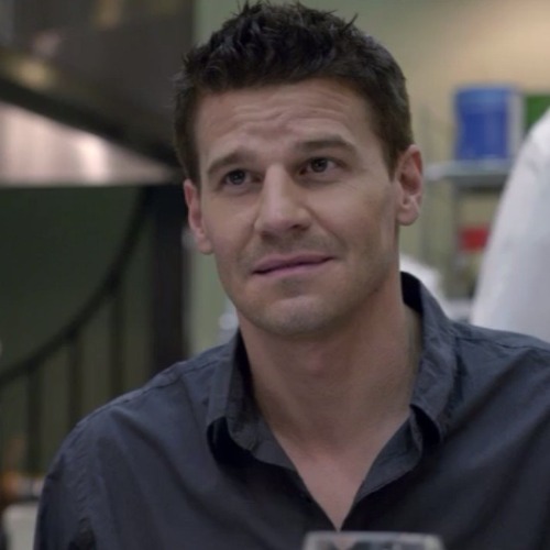 davidboreanazagenteseeleybooth