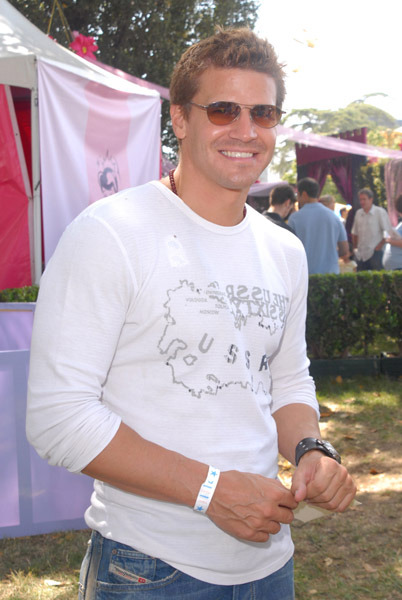 davidboreanazagenteseeleybooth
