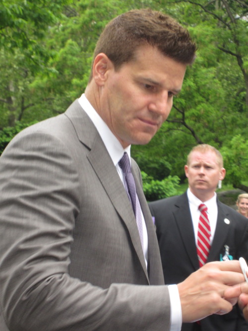 davidboreanazagenteseeleybooth