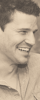 davidboreanazagenteseeleybooth