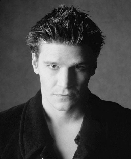 davidboreanazagenteseeleybooth