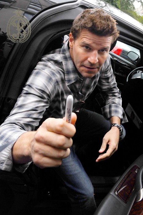 davidboreanazagenteseeleybooth