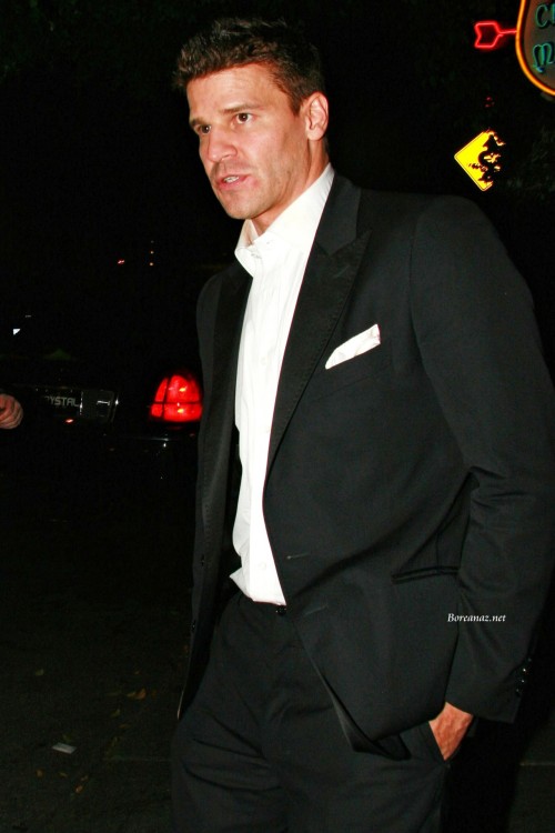 davidboreanazagenteseeleybooth
