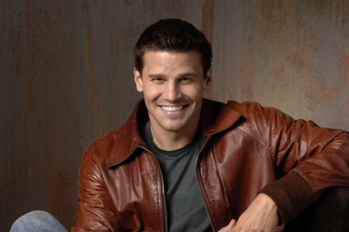 davidboreanazagenteseeleybooth