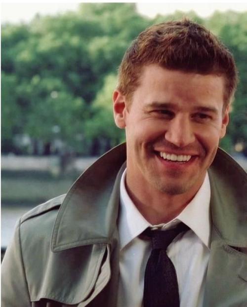 davidboreanazagenteseeleybooth