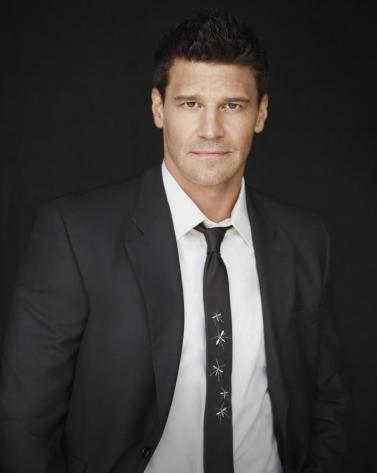 davidboreanazagenteseeleybooth