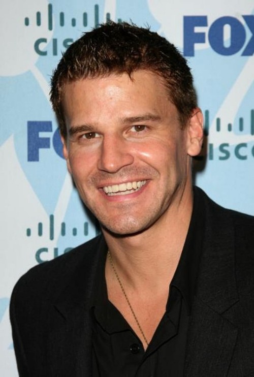 davidboreanazagenteseeleybooth