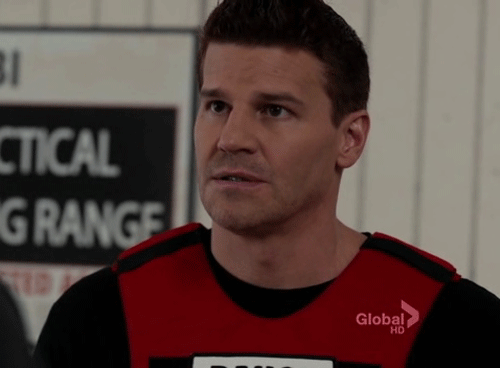 davidboreanazagenteseeleybooth