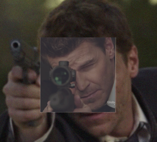 davidboreanazagenteseeleybooth