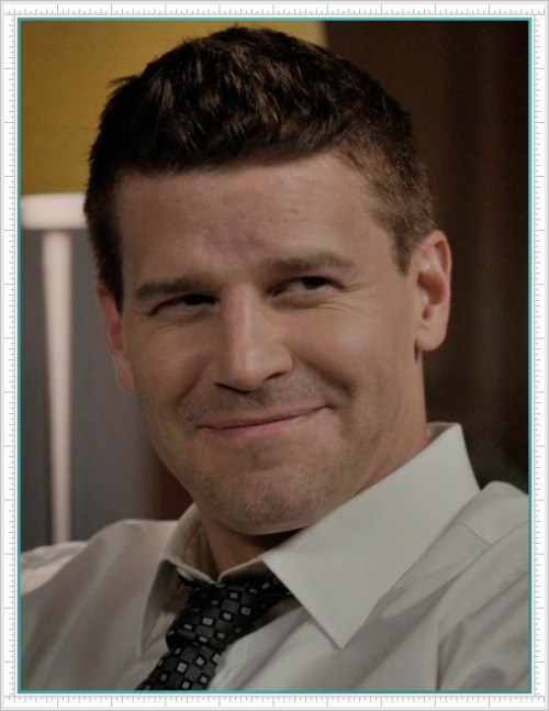 davidboreanazagenteseeleybooth
