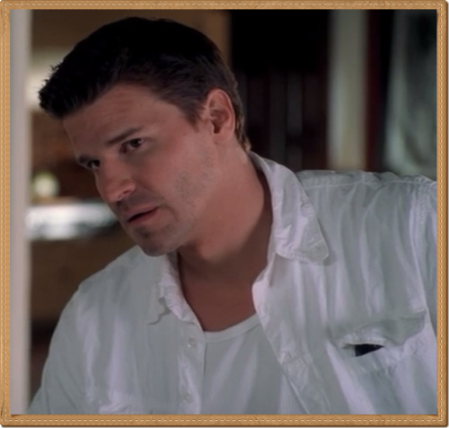 davidboreanazagenteseeleybooth