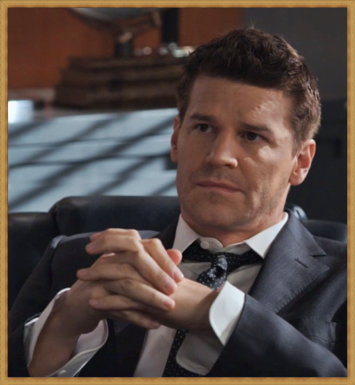 davidboreanazagenteseeleybooth