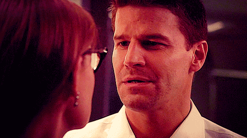 davidboreanazagenteseeleybooth