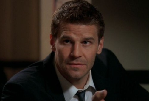 davidboreanazagenteseeleybooth