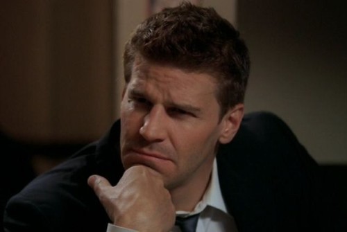 davidboreanazagenteseeleybooth