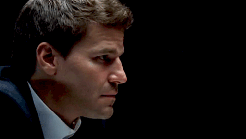 davidboreanazagenteseeleybooth