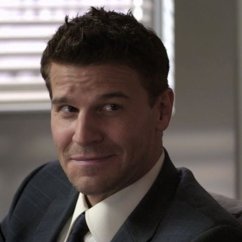 davidboreanazagenteseeleybooth
