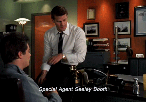 davidboreanazagenteseeleybooth