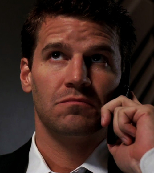 davidboreanazagenteseeleybooth
