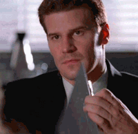 davidboreanazagenteseeleybooth