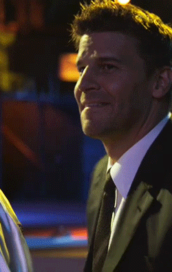 davidboreanazagenteseeleybooth