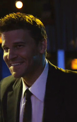 davidboreanazagenteseeleybooth