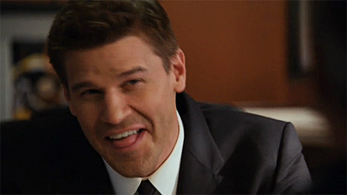 davidboreanazagenteseeleybooth