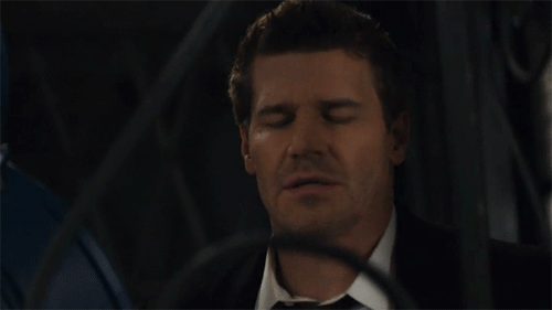 davidboreanazagenteseeleybooth