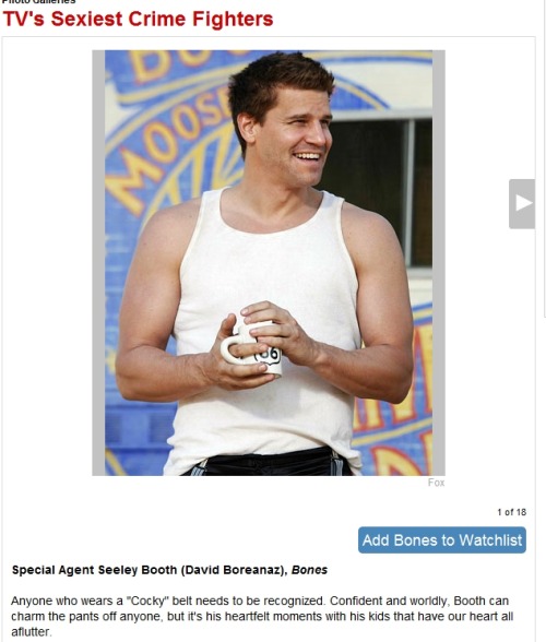davidboreanazagenteseeleybooth
