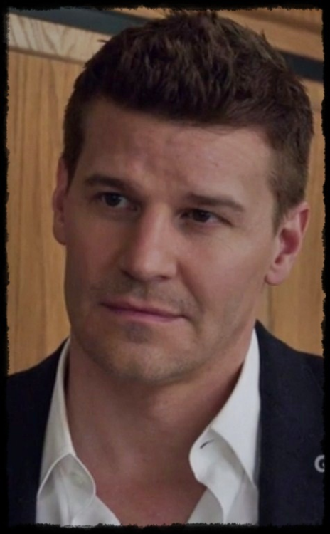 davidboreanazagenteseeleybooth