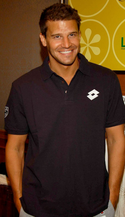 davidboreanazagenteseeleybooth