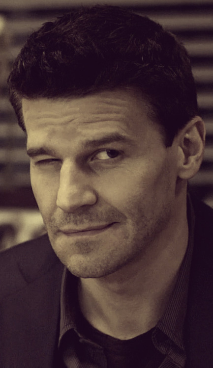 davidboreanazagenteseeleybooth