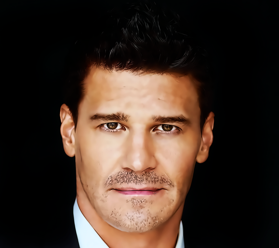 davidboreanazagenteseeleybooth