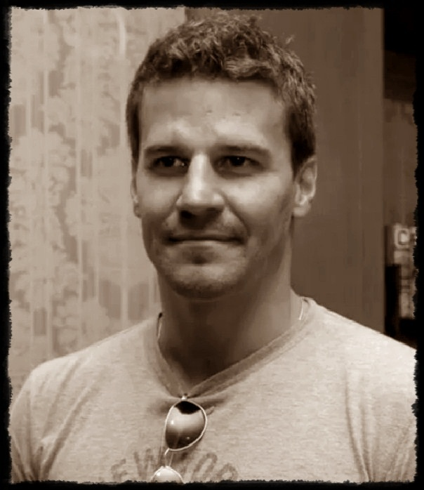 davidboreanazagenteseeleybooth