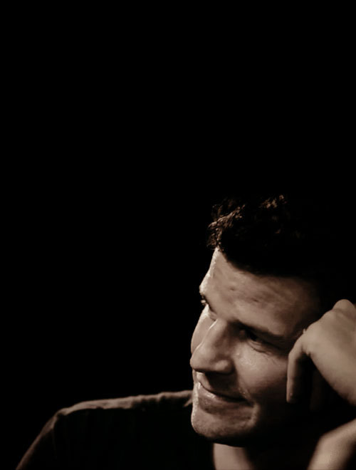 davidboreanazagenteseeleybooth