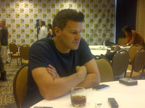 davidboreanazagenteseeleybooth
