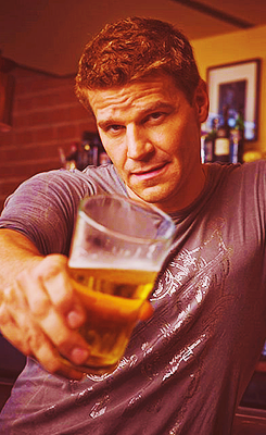 davidboreanazagenteseeleybooth