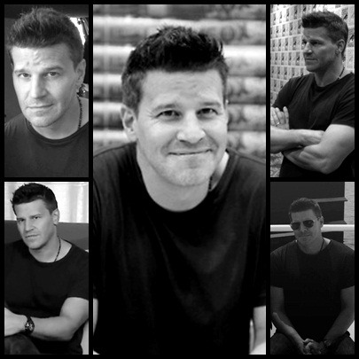 davidboreanazagenteseeleybooth