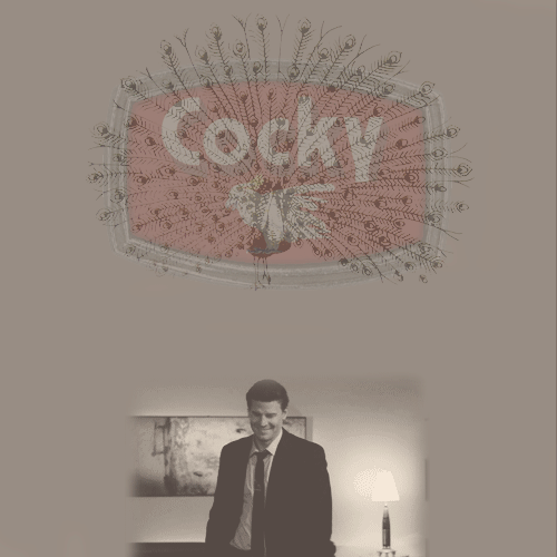 davidboreanazagenteseeleybooth