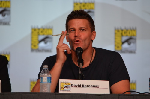 davidboreanazagenteseeleybooth