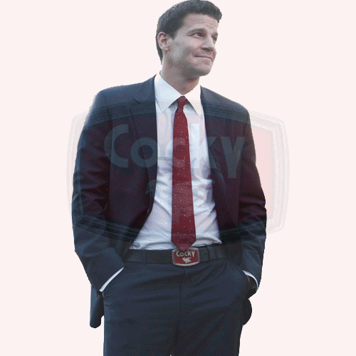 davidboreanazagenteseeleybooth