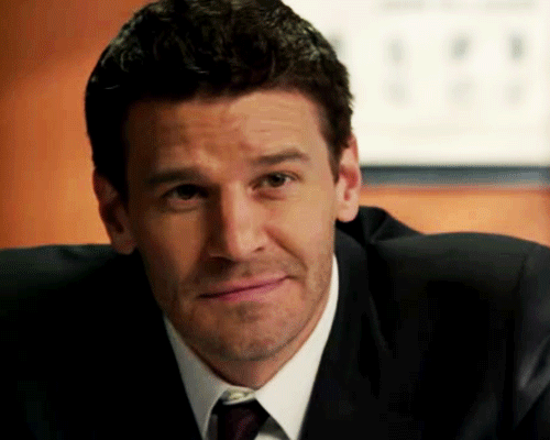 davidboreanazagenteseeleybooth