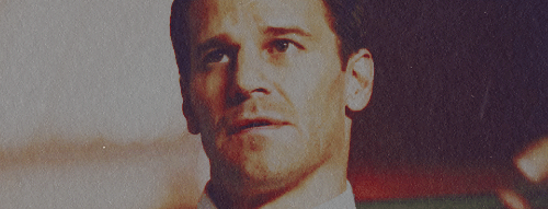 davidboreanazagenteseeleybooth